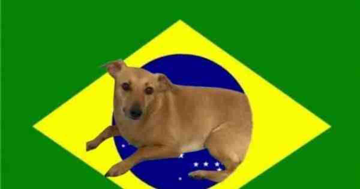 Memes 2024 Brasileiro Sub20 Ally Chickie