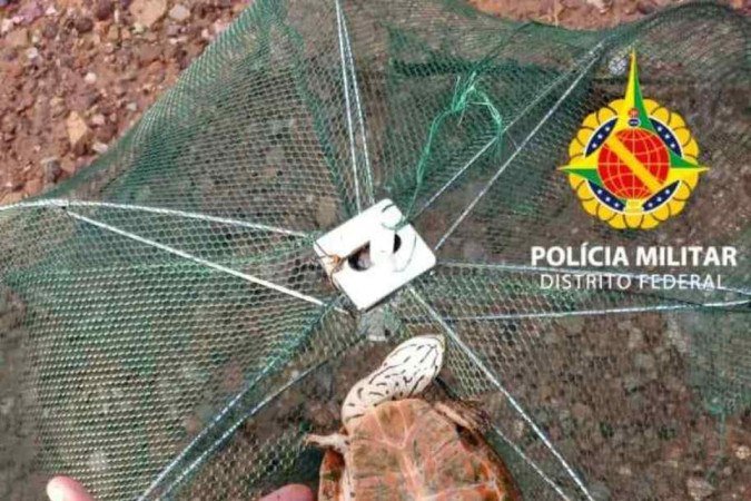  (crédito: Divulgação/PMDF)