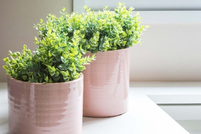 Plantas decorando penteadeira