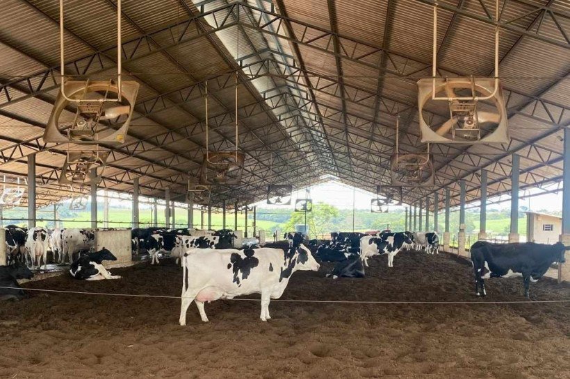 Embaixador chinês elogiou cumprimento rápido de protocolo, diz Agricultura