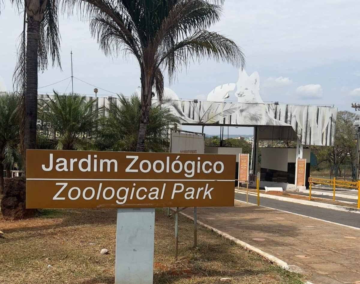 Evento leva cultura e lazer ao Zoológico de Brasília