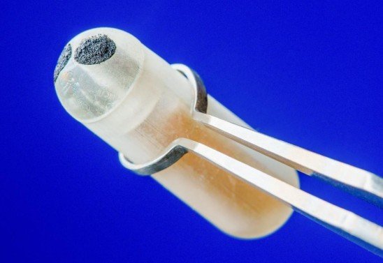 Universidade da Califórnia, San Diego