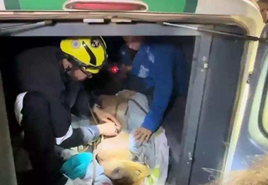 Ramon Lisboa/EM/D.A press