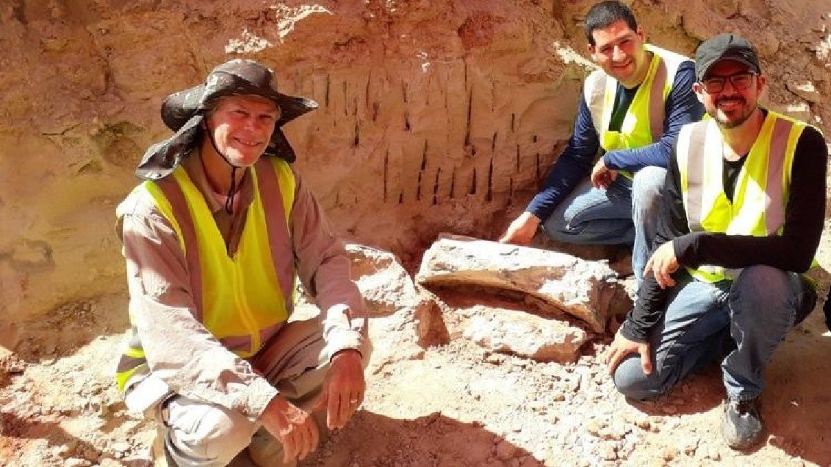 Os fósseis de dinossauro de 80 milhões de anos encontrados por acaso em rodovia de São Paulo