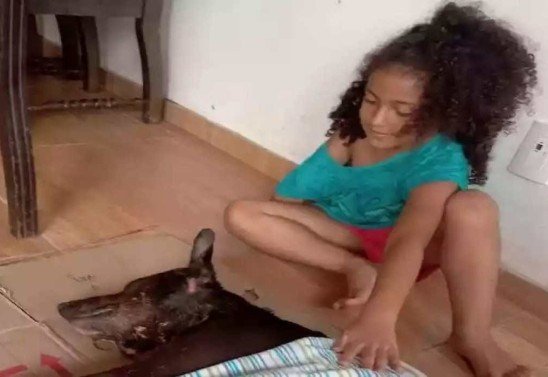  Arquivo Pessoal