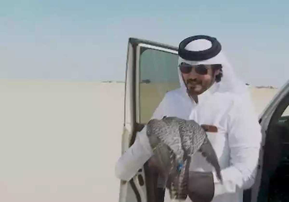  (crédito: Reprodução)