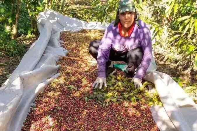  (crédito: Arquivo pessoal)