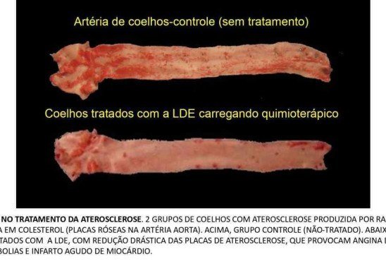 Raul C. Maranhão/Divulgação