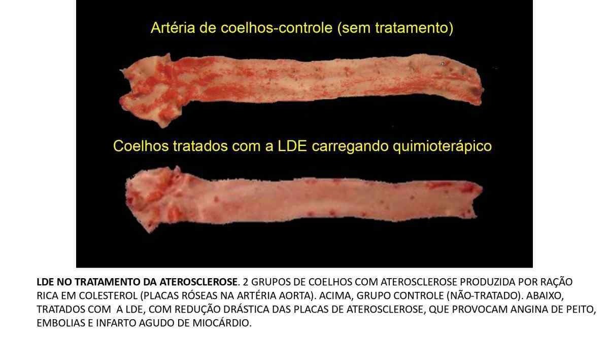  Ilustrações do professor de Bioquímica, Raul C. Maranhão.