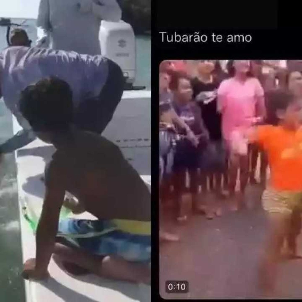 Video Engraçado a Cerca Me Mordeu Original Assista ate o final