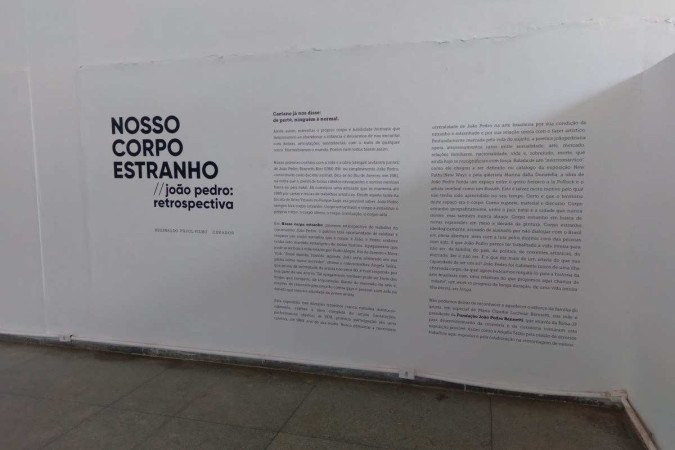Nosso corpo estranho: João Pedro, retrospectiva
