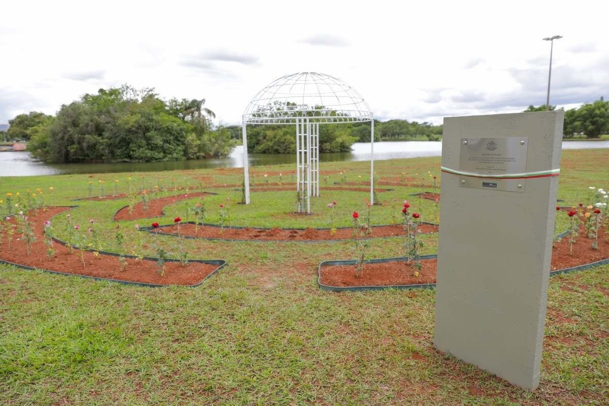 Jardim de Rosas do Parque da Cidade ganha mais 200 mudas