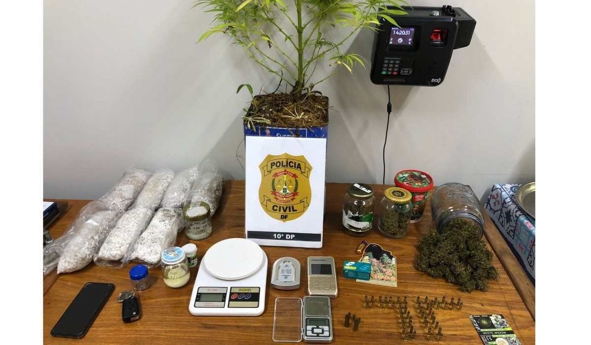 Homem que cultivava cogumelos alucinógenos e maconha em mansão é preso