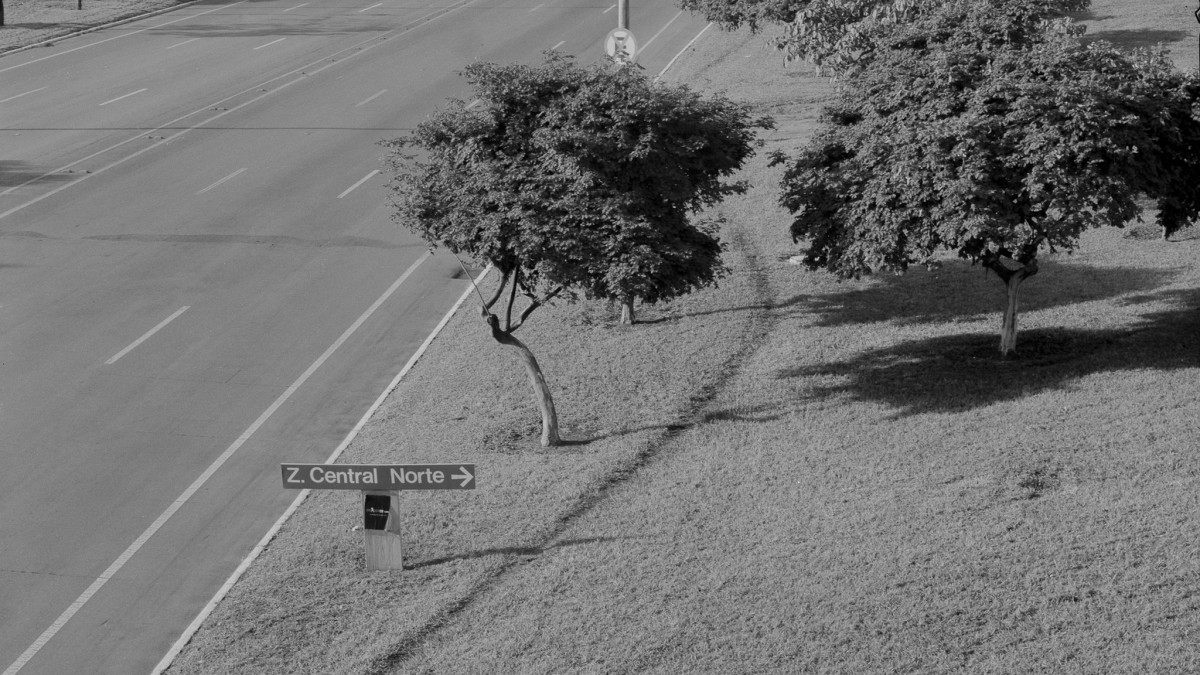 'Linhas de desejo': os caminhos inventados por pedestres na cidade feita para carros