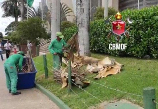CBMDF/Divulgação