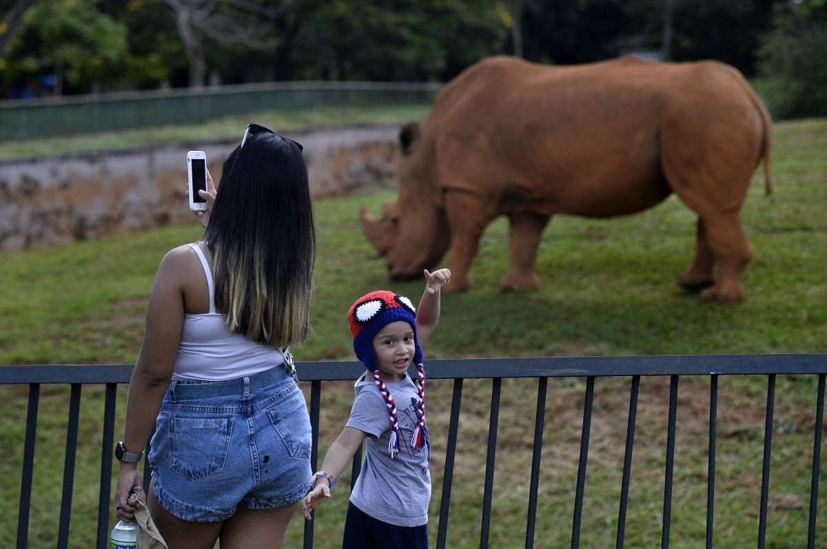  22/12/2022. Cr..dito: Minervino J..nior/CB/D.A Press. Brasil.  Brasilia - DF.  F..rias escolares. Pais com seus filhos no Zool..gico.     