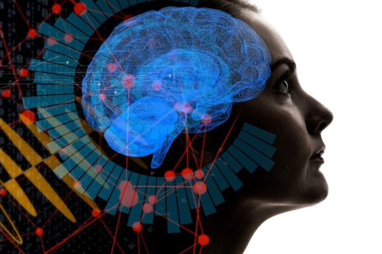 'Cérebro quântico', a ousada teoria que aponta caminhos sobre o mistério da mente humana