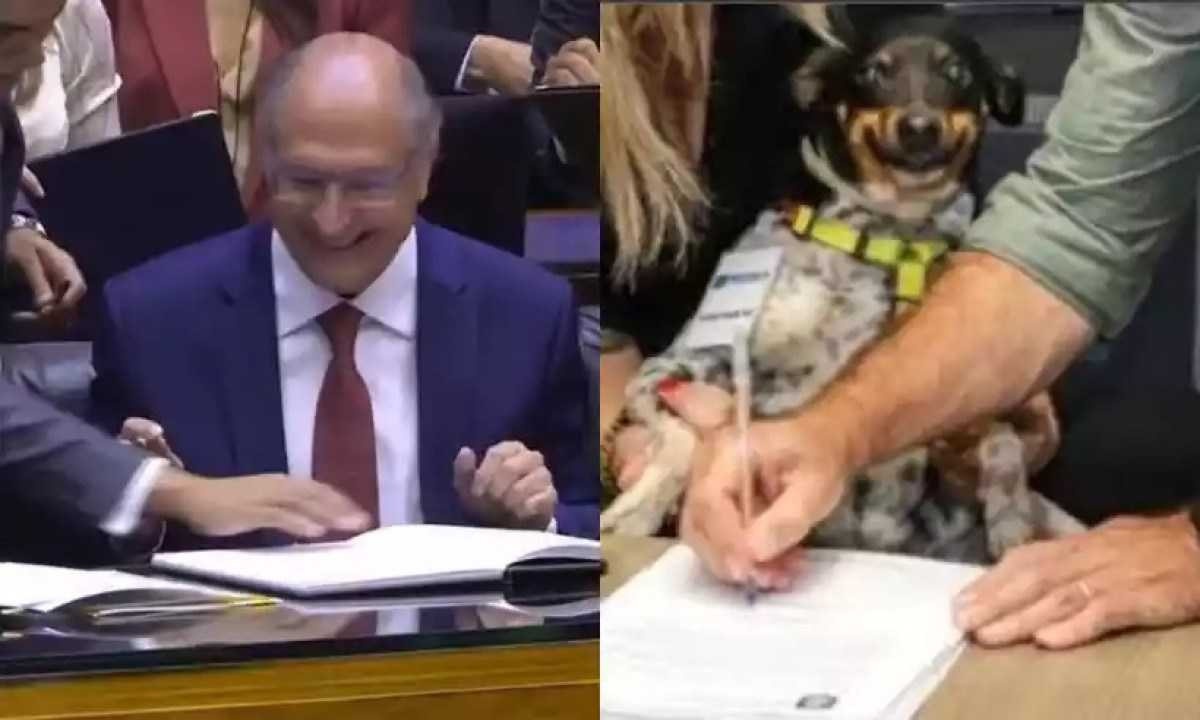 Alckmin vira meme por participação na posse: 'O homem mais feliz do Brasil'