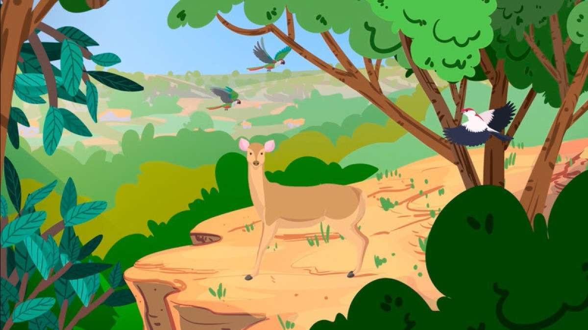 ONG lança vídeo em animação como ferramenta para educação ambiental