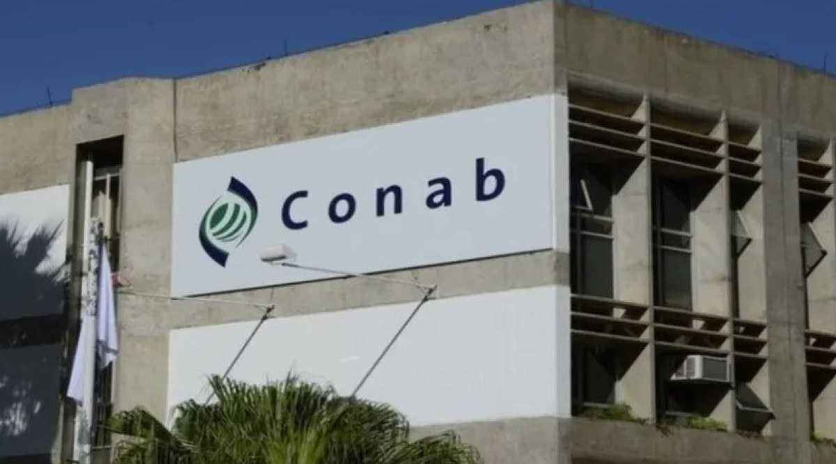 Conab adquire 263,37 mil toneladas de arroz importado em leilão público com custo de R$ 1,316 bi