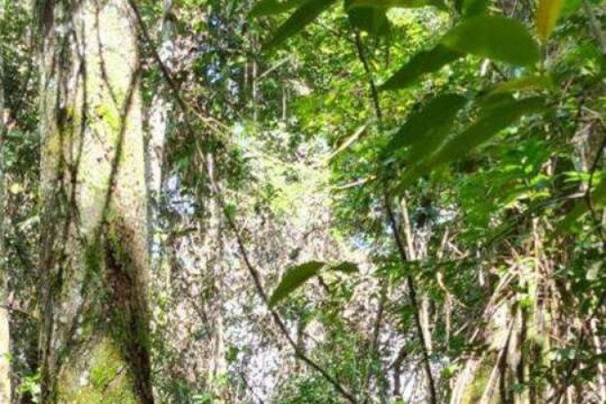 Giovanna Stecanela praticando canicross em uma trilha.