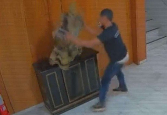  Reprodução/Fantástico/TV Globo