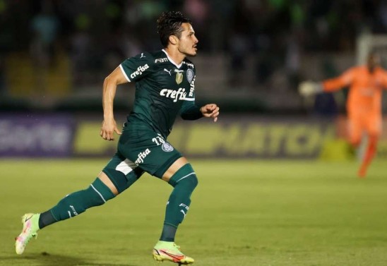 Cesar Greco/Palmeiras