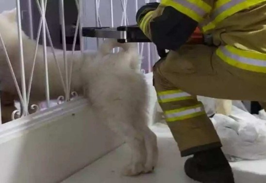 Divulgação/Corpo de Bombeiros