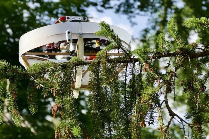 (crédito: Gottardo Pestalozzi/AFP) (crédito: Gottardo Pestalozzi/AFP)