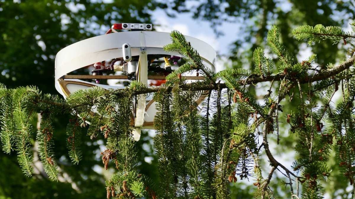 Drone coleta DNA da copa das árvores para monitorar biodiversidade
