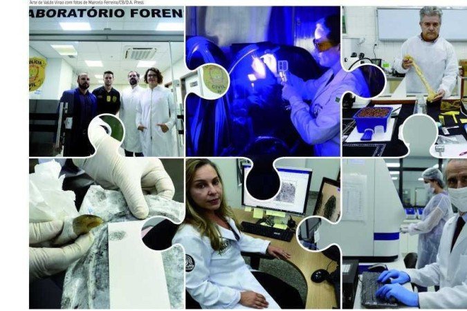 Trabalho minucioso da perícia técnica foi fundamental na elucidação do crime. Em tempo recorde, peritos papiloscopistas, criminais e médicos-legistas desvendaram detalhes do massacre de 10 pessoas da mesma família. O resultado foi a identificação ágil de quatro vítimas encontradas em avançado estado de decomposição e dos autores já presos
