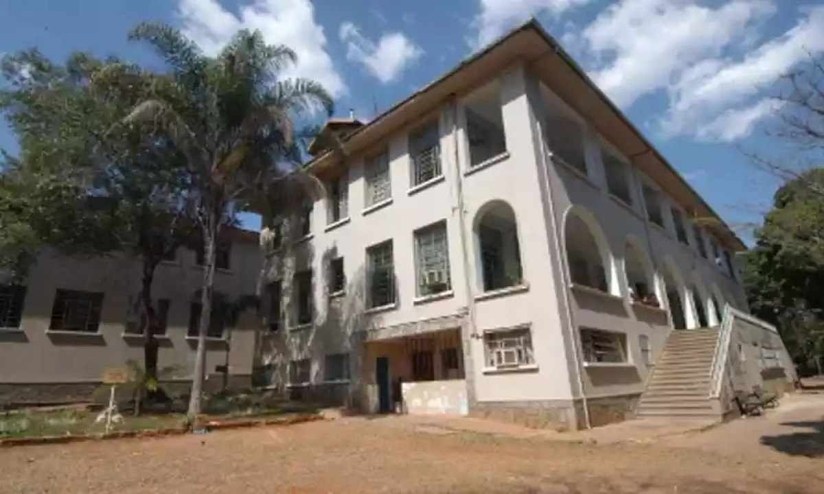 Rottweiler solto ataca pessoas próximo ao Hospital Júlia Kubitschek