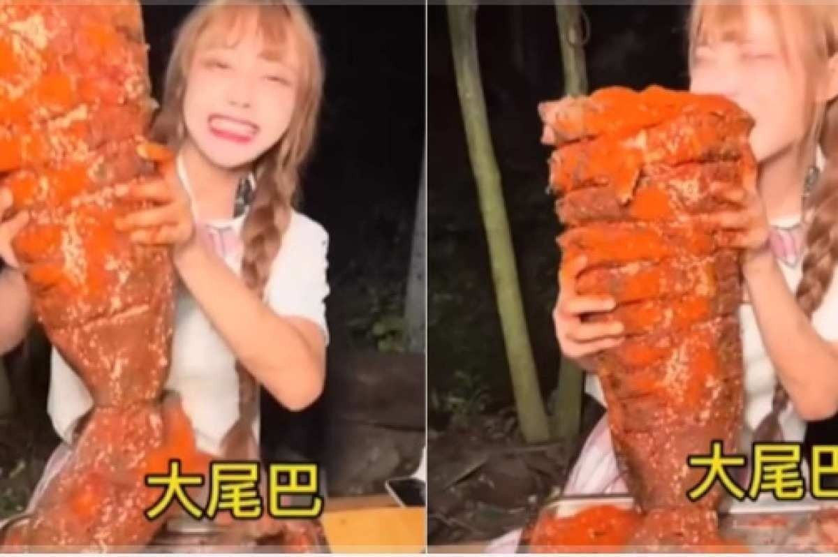 Blogueira chinesa é multada por cozinhar e comer animal protegido por lei