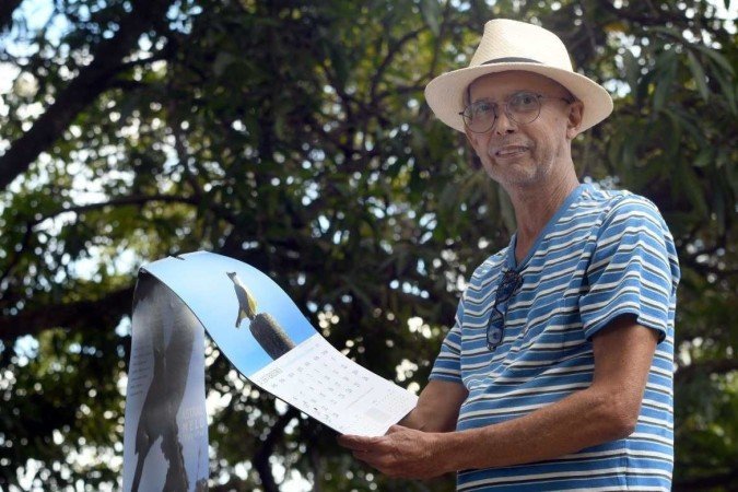 O Tucanuçu foi flagrado em uma árvore próxima à janela do quarto do fotógrafo