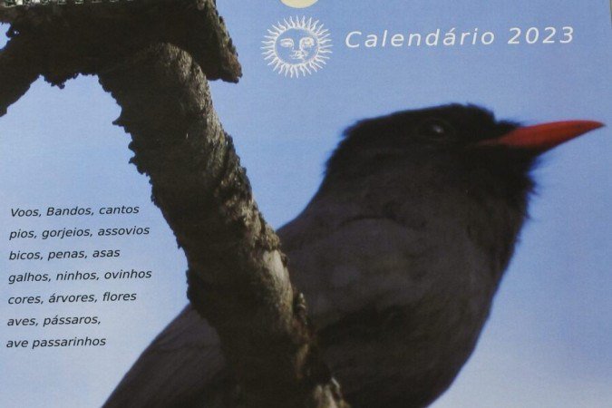  03/02/2023 Credito: Ed Alves/CB/DA.Press. Cidades. Calendario com fotos de Passaros do Fotografo Astral Melo. 