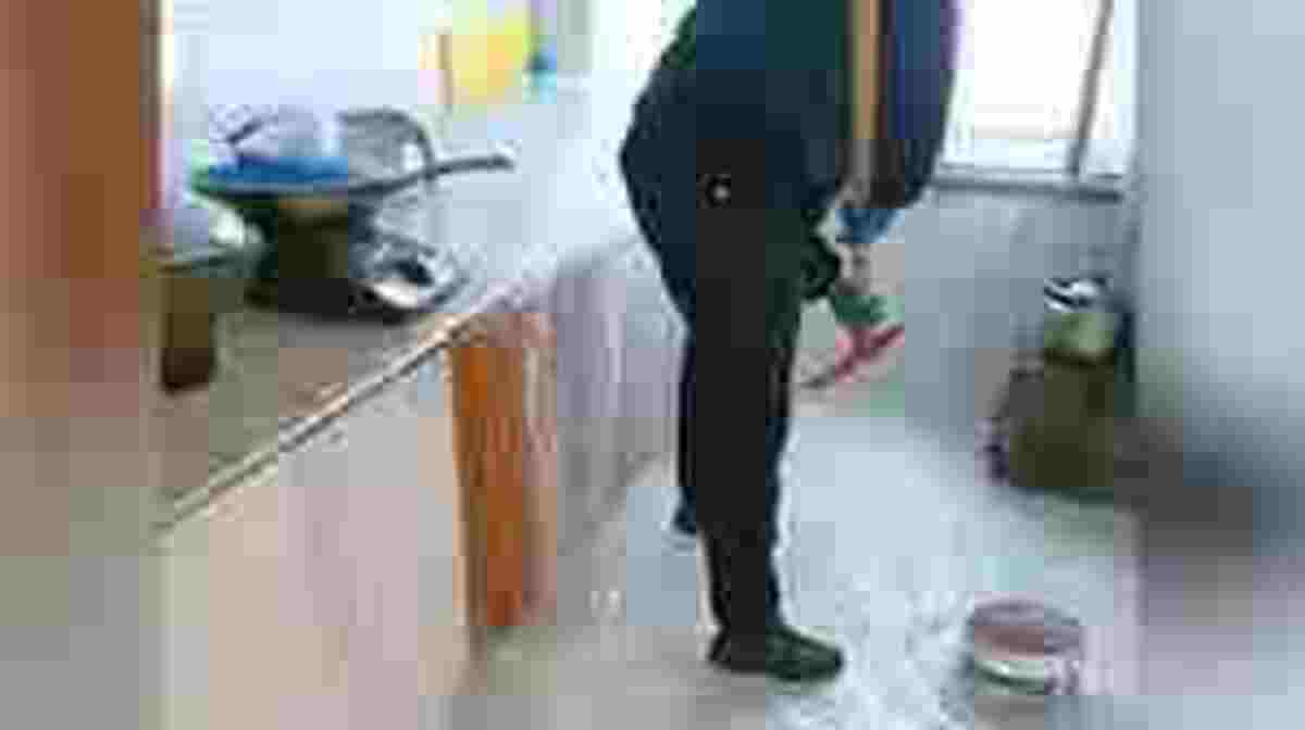  (crédito: Reprodução/Redes Sociais)