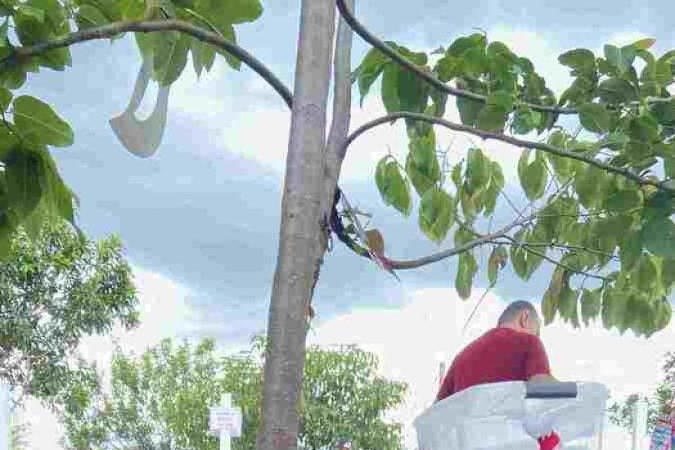 Benty Henrique, Shuri Jolie e Titcho Lino se fantasiaram de Wally (de Onde está o Wally?), roqueiro e palhacinho