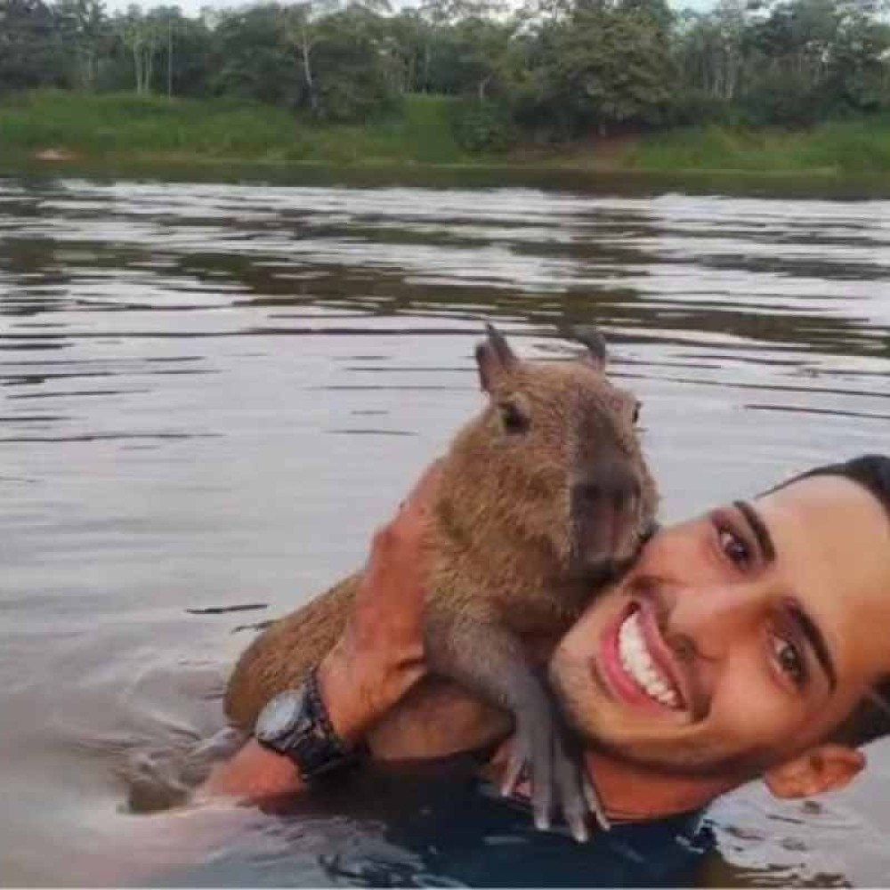 Em prantos, tiktoker devolve capivara ao Ibama: Pelo bem dela