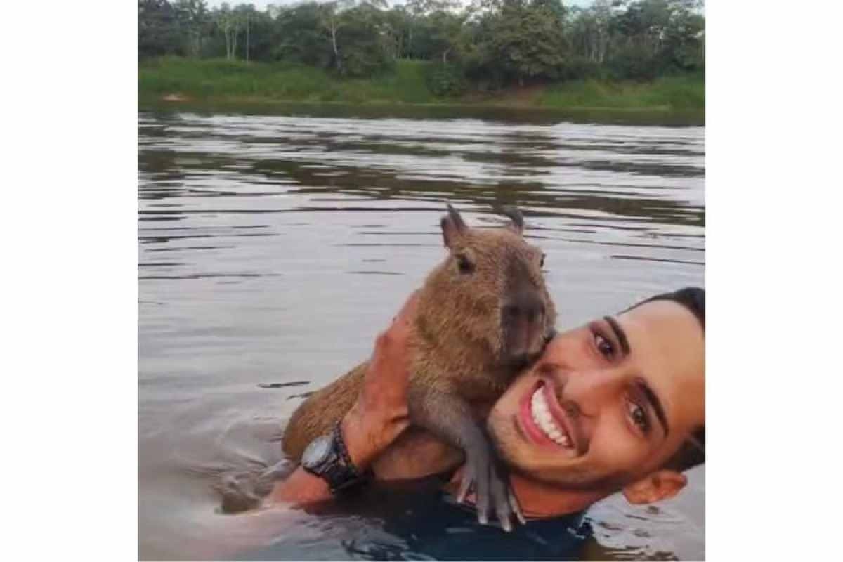 Capivara Filó: Agenor mantinha outros animais silvestres, aponta Ibama