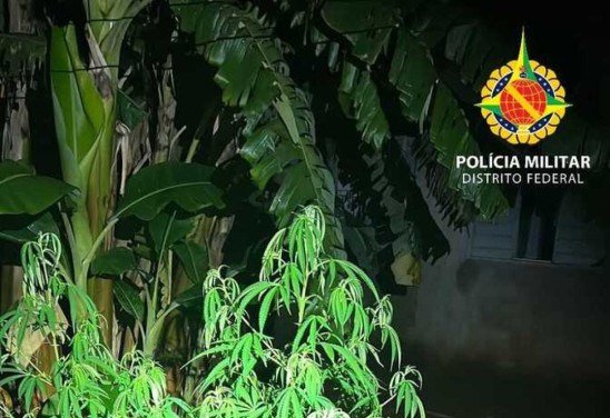 Foto: Divulgação/PMDF