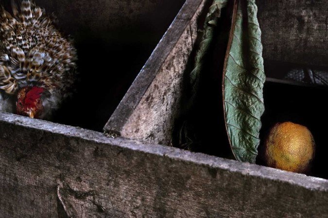 Livro Daniel MOreira, Bordas não brotam do nada