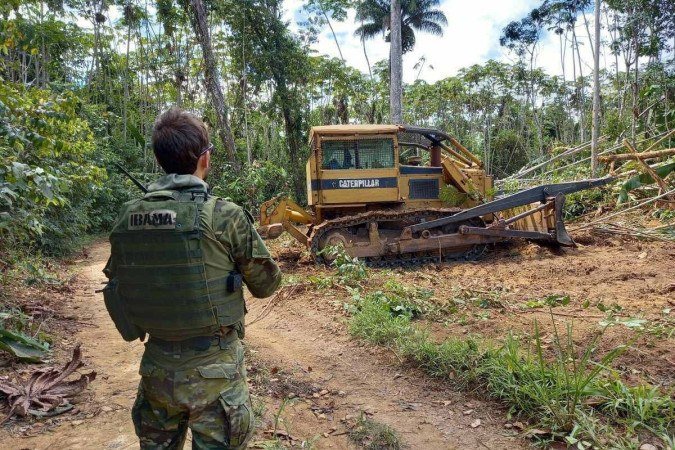 As carreiras são destinadas a candidatos de nível superior - (crédito: Divulgação IBAMA) As carreiras são destinadas a candidatos de nível superior - (crédito: Divulgação IBAMA)
