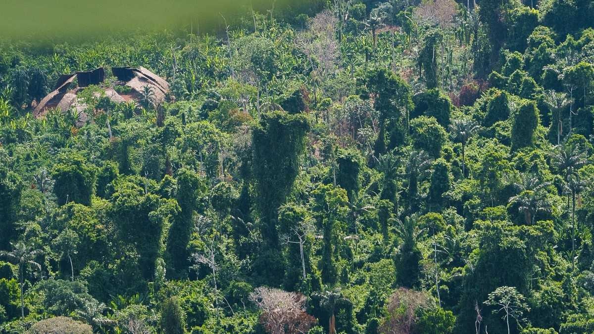 Artigo: O direito humano ao meio ambiente equilibrado