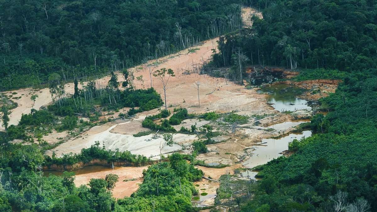 PF faz operação contra garimpo ilegal na Terra Indígena Yanomami