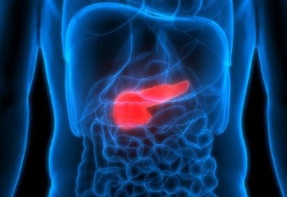 O pâncreas, localizado no abdômen superior, atrás do estômago e à frente da coluna vertebral -  (crédito: Getty Images) -O pâncreas, localizado no abdômen superior, atrás do estômago e à frente da coluna vertebral -  (crédito: Getty Images)