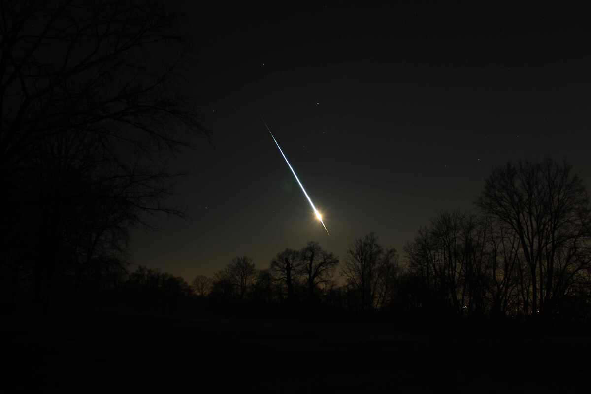  (crédito: Reprodução/Twitter @aes_2fish)