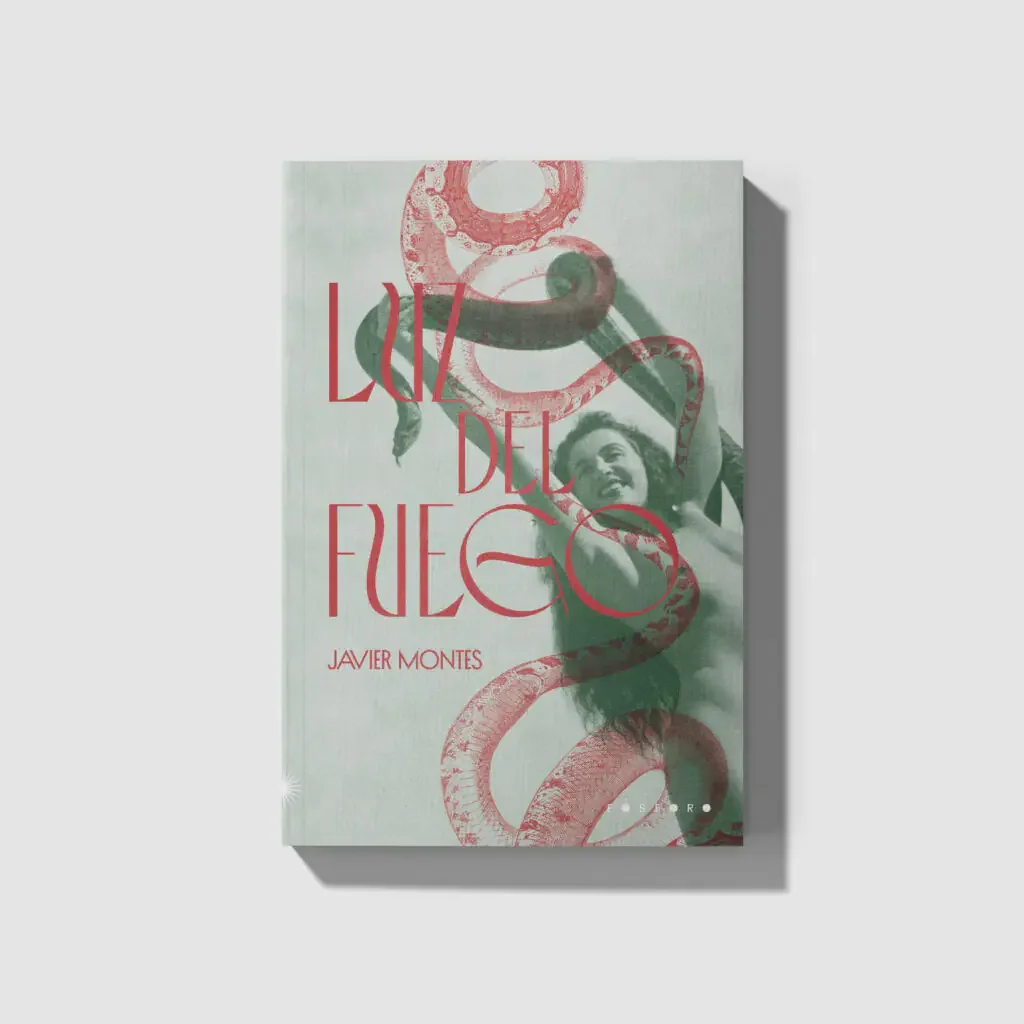 Luz del Fuego, de Javier Montes