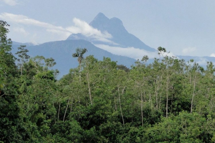 Entidades ianomâmis denunciam entrada de garimpeiros no Pico da Neblina