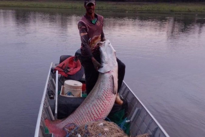  (crédito:  Arquivo pessoal)
