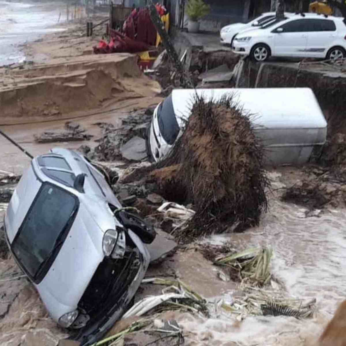  (crédito: Reprodução/Twitter)